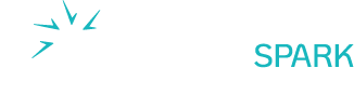 Dynamic Spark Marketing Consulting